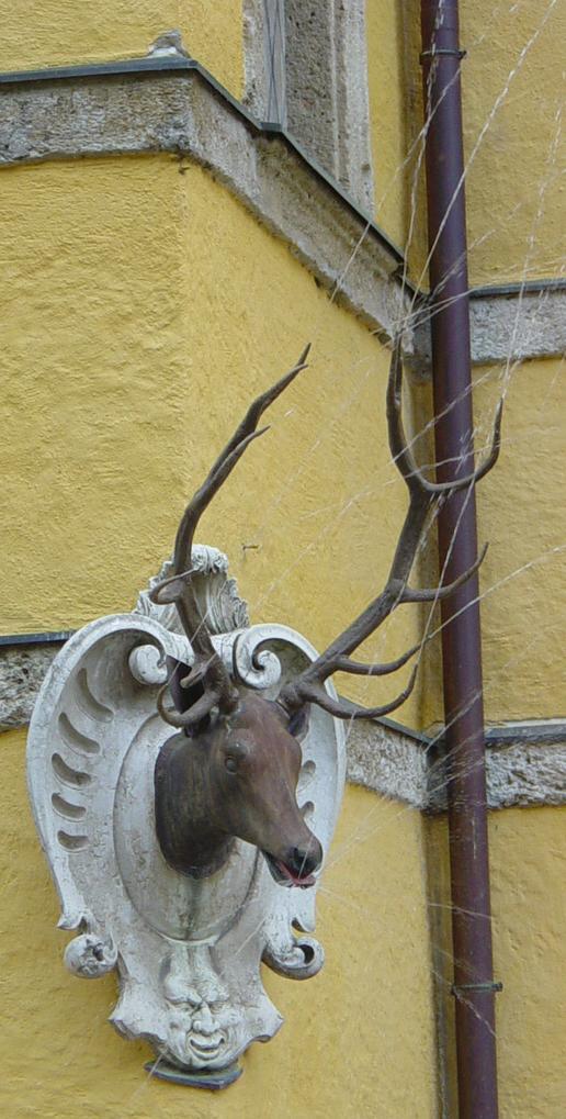 9 deer spray b.JPG